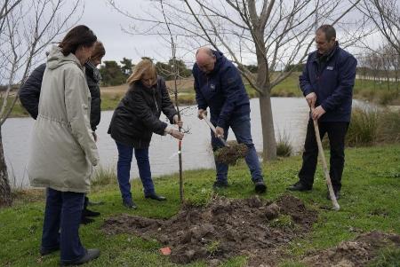 Imagen La Diputación de Segovia impulsa la plantación de más de 3.300 árboles en los municipios de la provincia